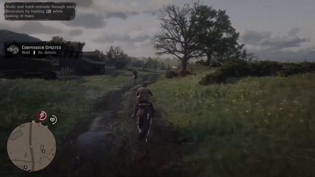 Red Dead Redemption II: Ooga Booga смотреть онлайн