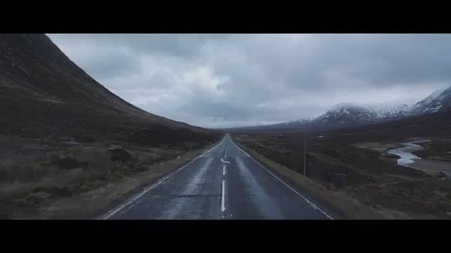 PSTEREO | Emilie Nicolas клип про синего кита