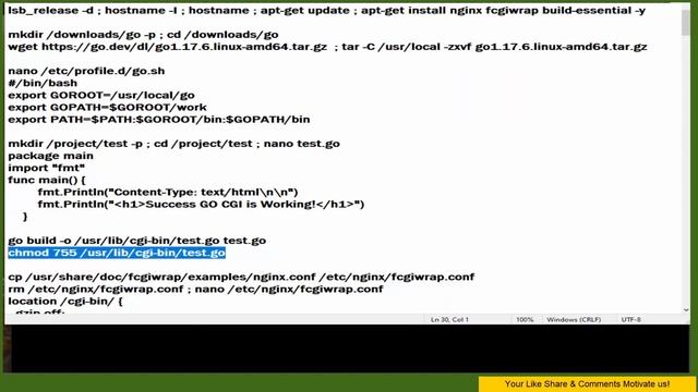 How To Enable GO ( Golang ) CGI On Nginx смотреть онлайн