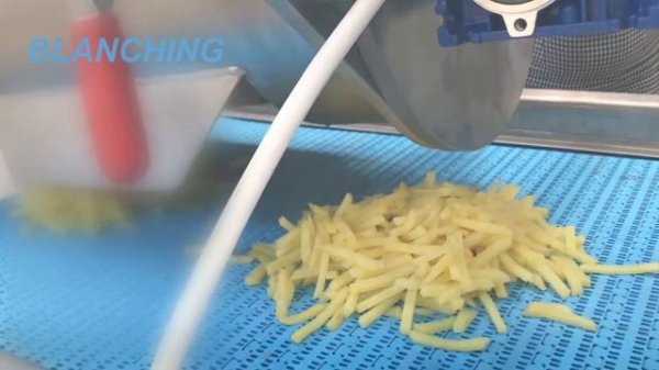 SCREW BLANCHER / Бланширователь шнековый Screw