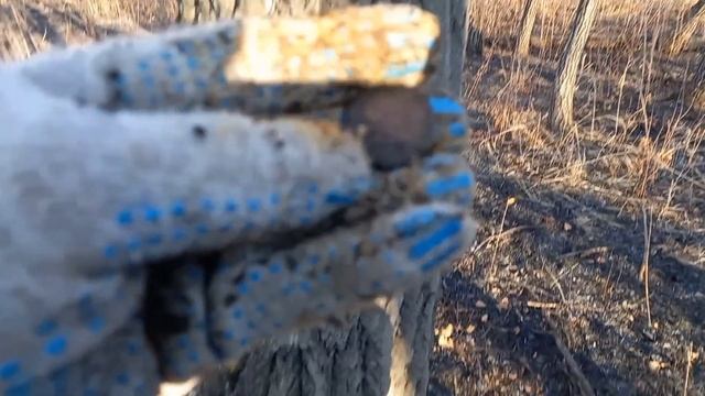 КОП с Minelab Vanquish 340 #металлоискатель #копатели #находки #minelab_vanquish