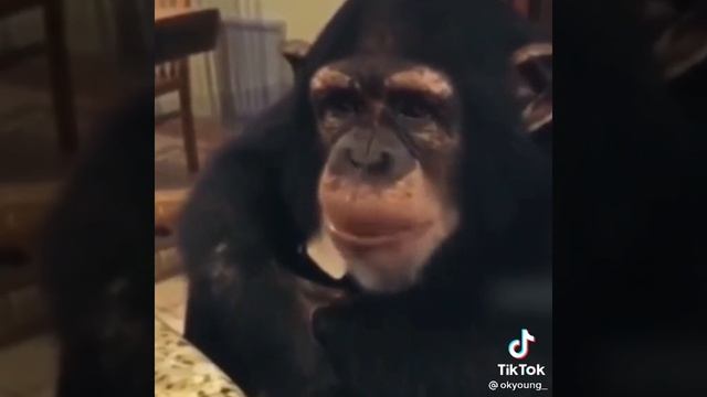 когда зарплата? смотреть онлайн