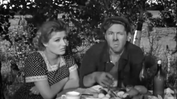 А вы точно Зефиров?