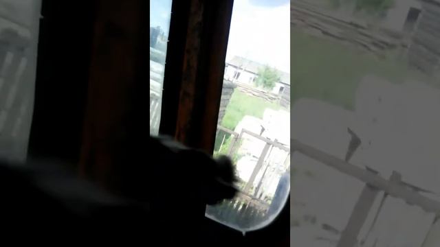 Отзыв кпс 5 г ДВС 240 колхоз рулит смотреть онлайн