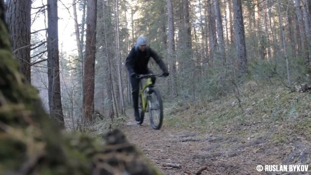 2016 год Начало Forest Riders смотреть онлайн