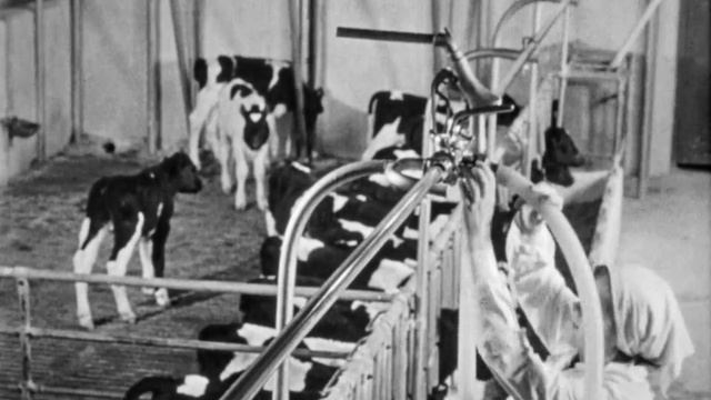 Комплекс Вороново, 1974 смотреть онлайн