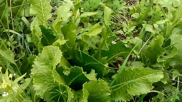 Уроки Живописи