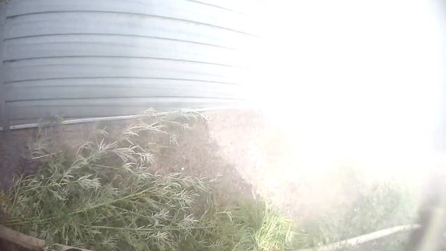 ПОЖАР 1 БИС в соседнем районе / Работа ГЛАЗАМИ ПОЖАРНЫХ / ПОЖАР 2022 смотреть онлайн