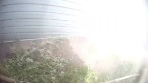 ПОЖАР 1 БИС в соседнем районе / Работа ГЛАЗАМИ ПОЖАРНЫХ / ПОЖАР 2022
