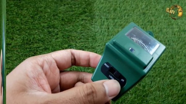 ACID LOVING PLANTS: List of Plants | How to make Soil Acidic | Soil PH Testing