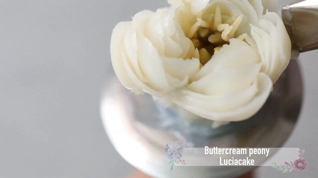 Buttercream peony смотреть онлайн