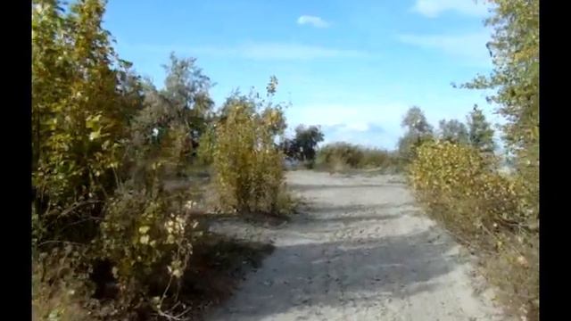 Наша первая, долгая прогулка с Никой. Далеко ушли! смотреть онлайн