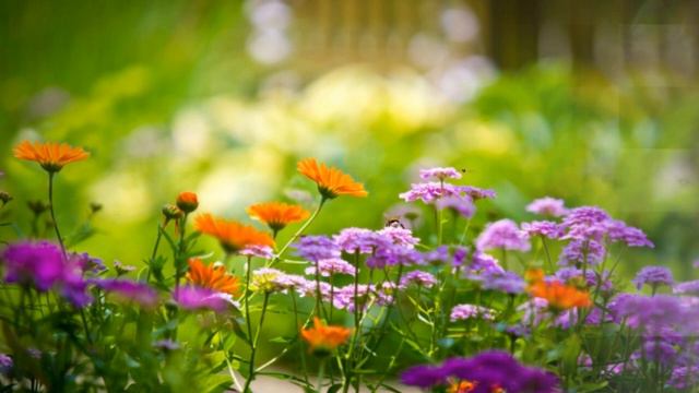 В стране сказки (Сергей Минцлов) смотреть онлайн