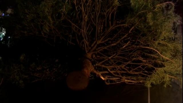 Смешные моменты | Теория большого взрыва #3 смотреть онлайн