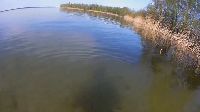 Рыбалка. Попал На Жор Окуня. Окунь На Ультралайт 2020! Матырское Водохранилище. Ловля Окуня. смотреть онлайн