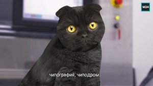Завод «Микрон» | Кот Бублик
