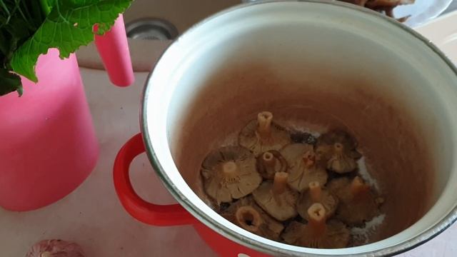 Засолка рыбы и икры в домашних условиях