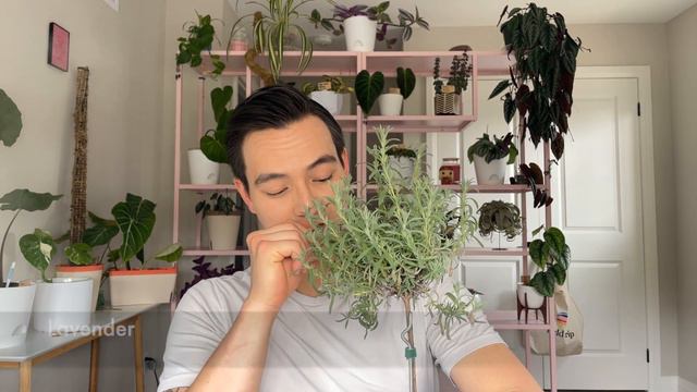 I'm SURPRISED These Plants Are In My Home! смотреть онлайн