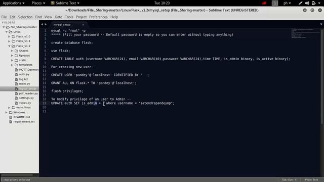 How to share big files using Flask, MySQL with PDF reader смотреть онлайн
