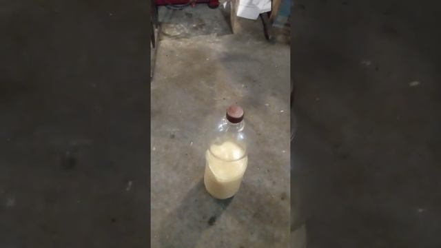 пробуем раскоксовать кольца на кио рио часть первая смотреть онлайн