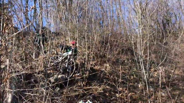 Sentiero chiuso!!! смотреть онлайн