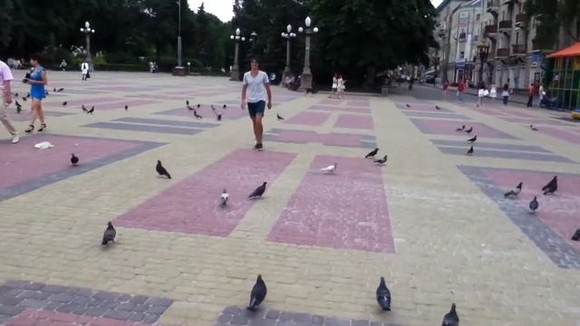 Вареники с мясом голубям