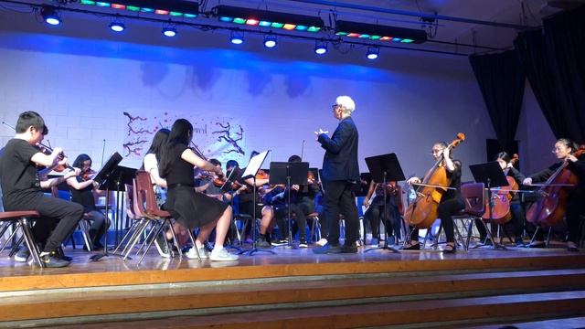 Highland MS Strings Ensemble - Palladio - Karl Jenkins смотреть онлайн