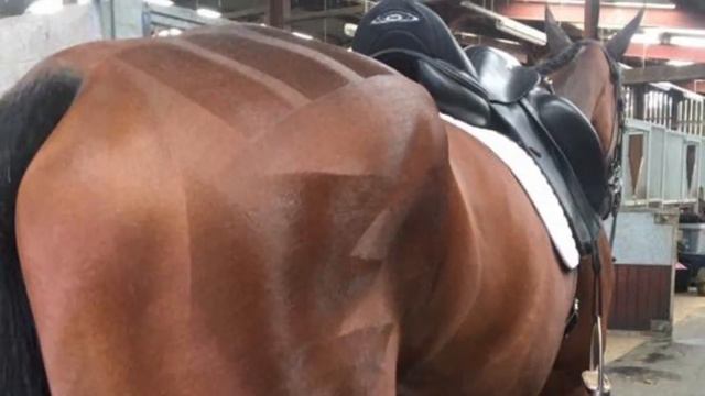 My Miracle Horse Fable. смотреть онлайн
