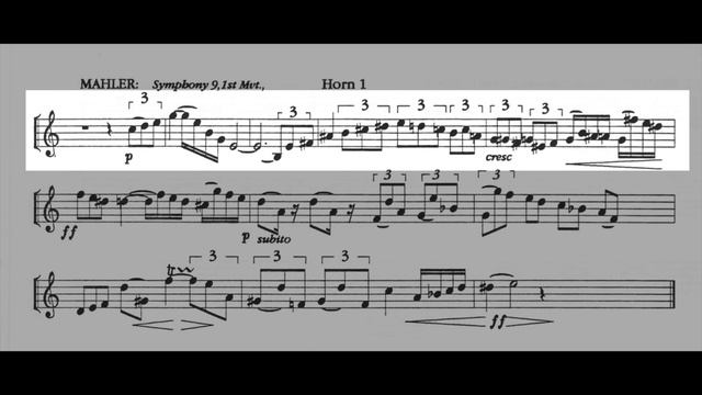 ORCHESTRAL EXCERPT for FRENCH HORN 44: Mahler. Symphony 9 смотреть онлайн