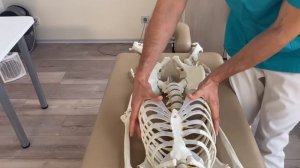 Освобождение грудобрюшной диафрагмы - постизометрическая техника.