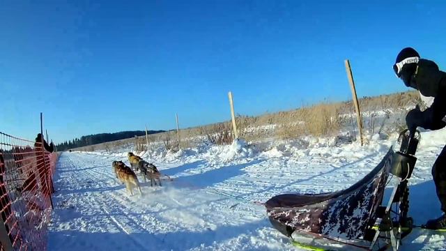 ЯНВАРСКАЯ МЕТЕЛЬ 2018. Боевые хаски смотреть онлайн
