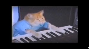 кот на пианино 10 часовая версия