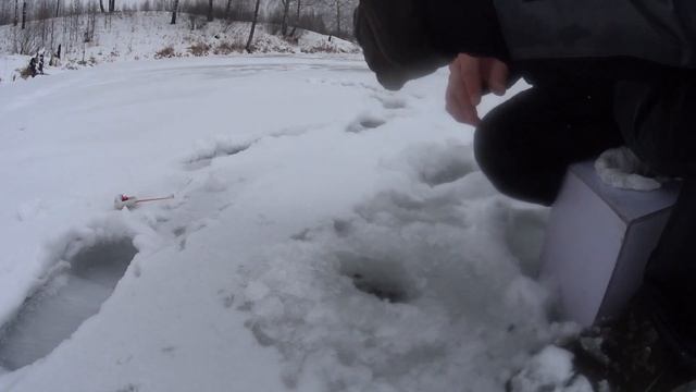 Крупная плотва на озере в Кедровке. Другой прикорм, другой результат. смотреть онлайн