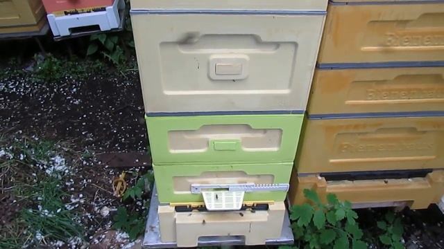 июнь на пасеке - наращивание пчел к главному медосбору , особенности и засады смотреть онлайн