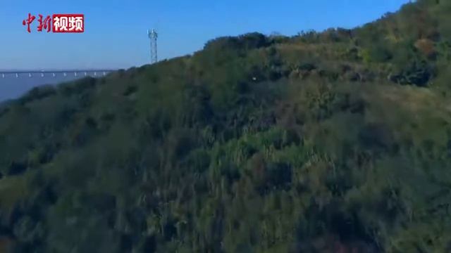 Открыта для движения самая длинная морская скоростная автомагистраль в Китае между Нинбо и Чжоушань смотреть онлайн