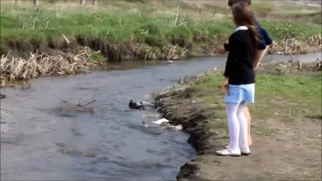 "ЛЮБИ СВОЮ РЕКУ" / "IUBEȘTE-ȚI RÎUL" смотреть онлайн