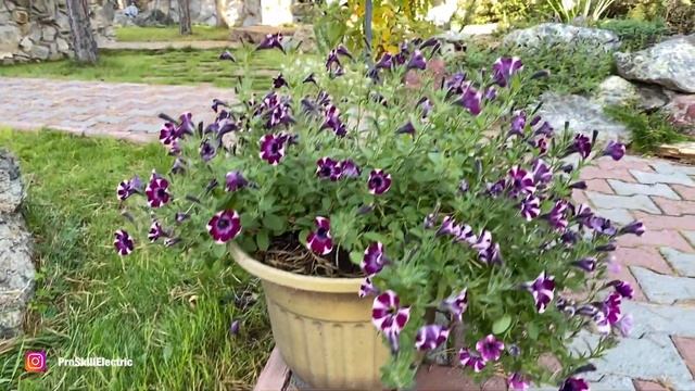 Подсветка водопада в частном доме. Нестандартный электромонтаж в необычном месте смотреть онлайн