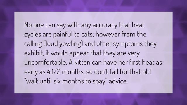 How can I get my cat out of heat? смотреть онлайн