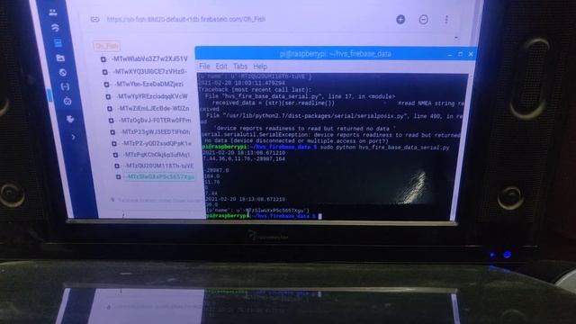 Water quality Data in firebase real-time Database - DO,pH, Salinity,TDS,Ds18b20, Turbidity смотреть онлайн