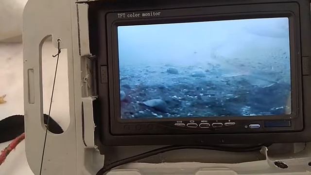 Интересная рыбалка с Подводной камерой Часть 1 смотреть онлайн