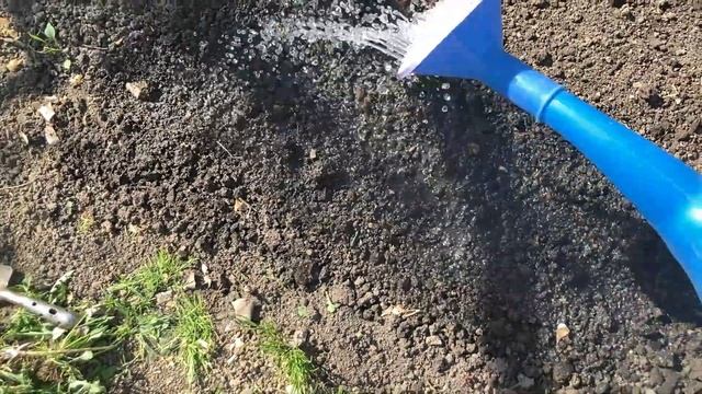 Природные Явления и Феномены