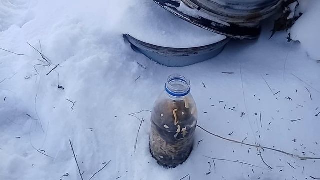 Супер розжиг.Из мыла. смотреть онлайн