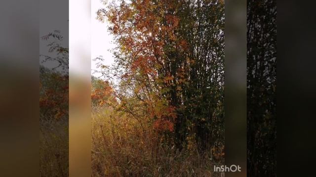 «Ранняя осень» - КДК с. Порздни Ивановская обл. смотреть онлайн