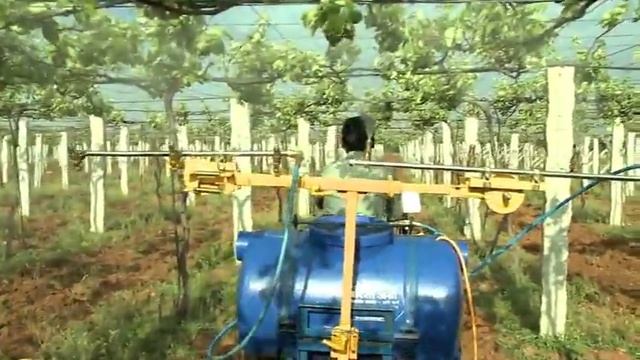 Pesticide Spraying in Vineyard using VST Shakti Tractor смотреть онлайн