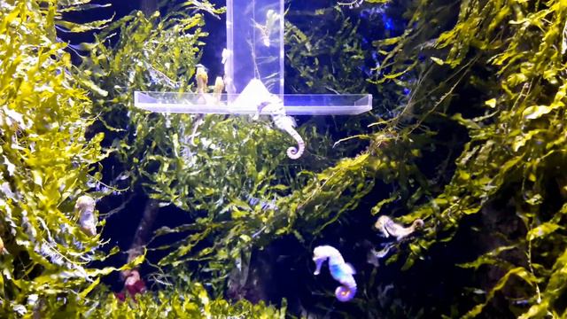 Варшавский зоопарк смотреть онлайн