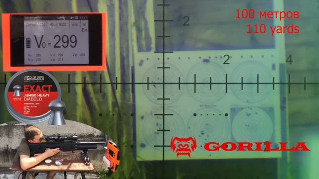 Моя Горилла в .22 калибре. Первый отстрел. 50 - 100 метров + Скоростная силуэтная стрельба. смотреть онлайн