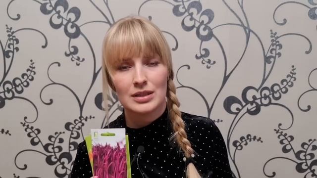 Что ПОСЕЯТЬ В ДЕКАБРЕ! Список ЦВЕТОВ, которые ЦВЕТУТ ВСЁ ЛЕТО смотреть онлайн