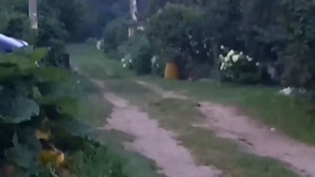 Какие дачи в рассйе смотреть онлайн