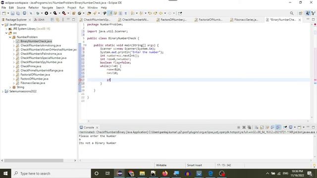 Java Programs:11.Binary number Check смотреть онлайн