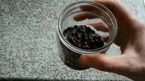 Проращивание кедровых орехов